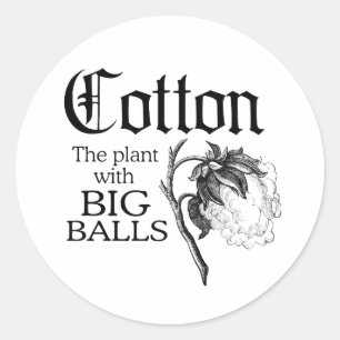 COTTON THE PLANT WITH BIG BALLS CLASSIC ROUND STICKER