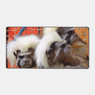 COTTON -TOP TAMARIN MONKEYS DESK MAT