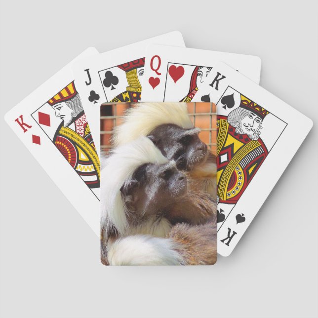 COTTON -TOP TAMARIN MONKEYS PLAYING CARDS (Back)