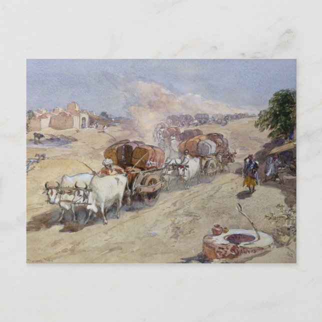 Cotton Transport, India, 1862 (w/c over pencil hei Postcard (Front)