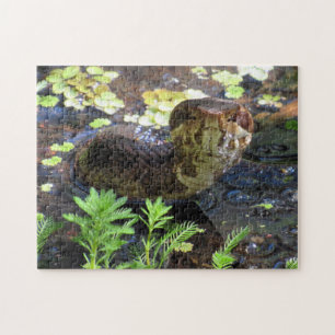 Cottonmouth Snake Puzzle