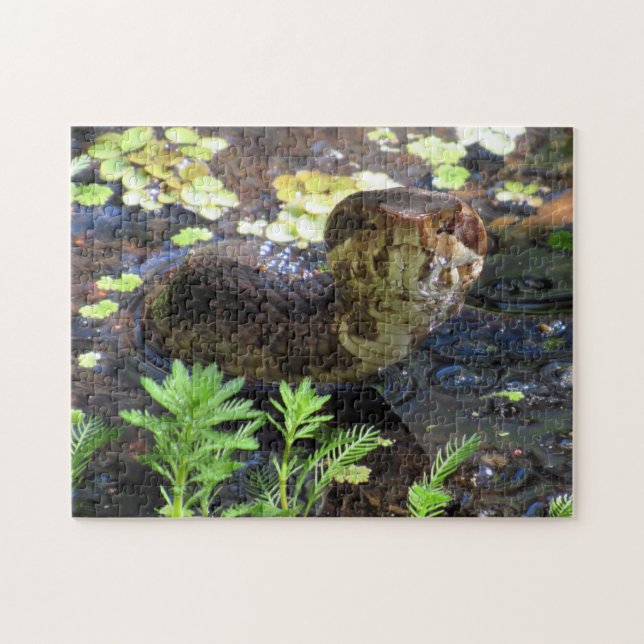 Cottonmouth Snake Puzzle (Horizontal)