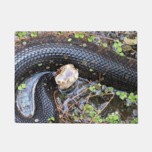 Cottonmouth Water Moccasin-  Doormat