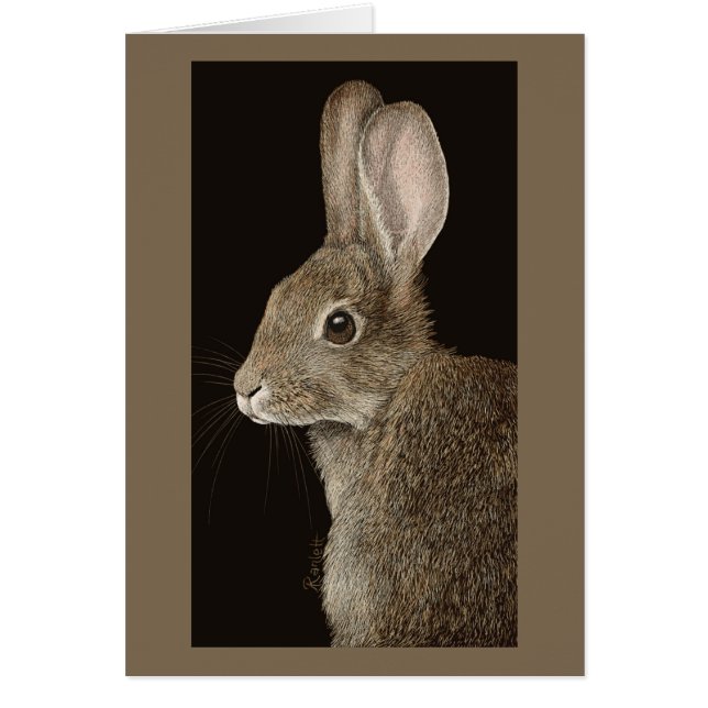 Cottontail Rabbit #2 (Front)