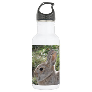Cottontail Rabbit 532 Ml Water Bottle