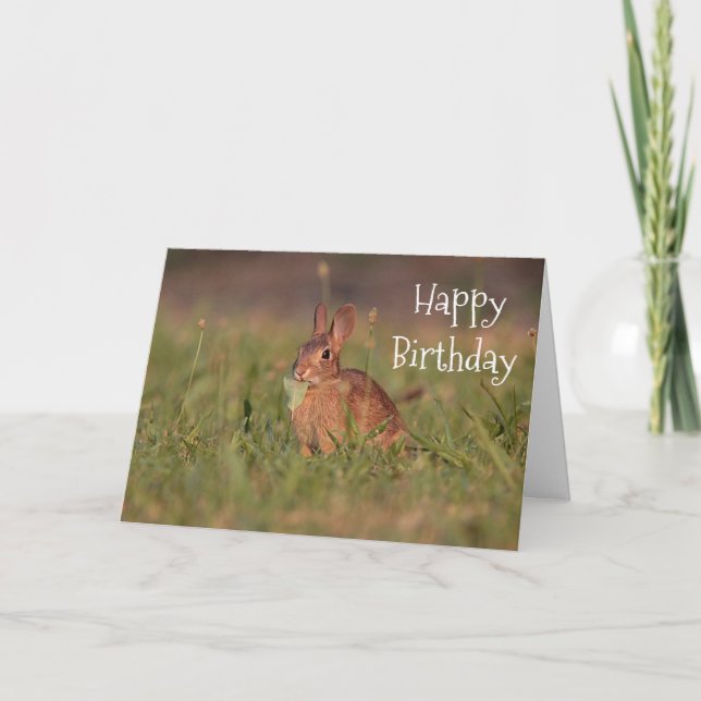 Cottontail rabbit card (Front)