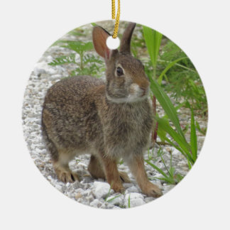 Cottontail Rabbit Ceramic Tree Decoration
