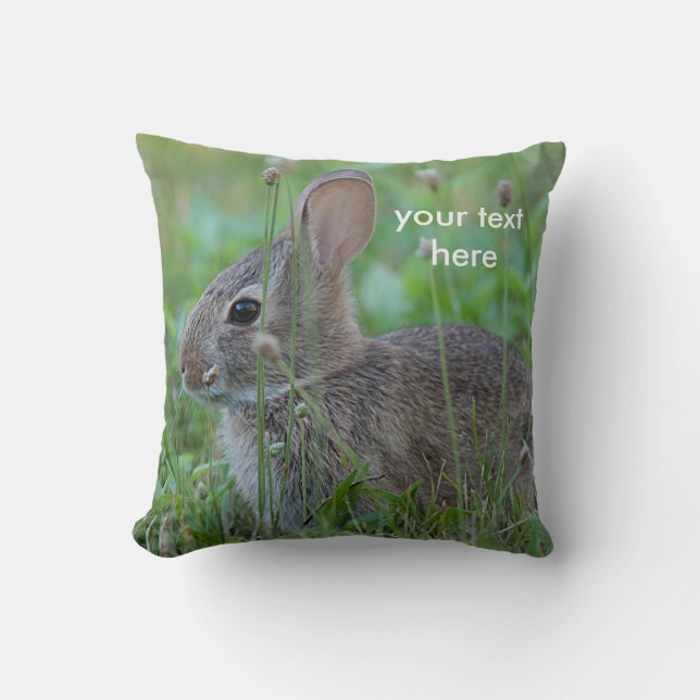 Cottontail rabbit cushion (Front)