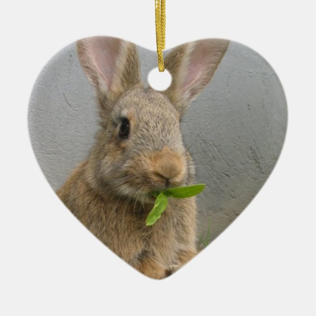 Cottontail Rabbit Ornament (Front)