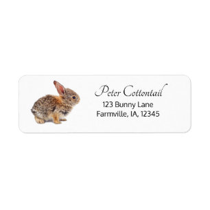 Cottontail Rabbit Return Address Label
