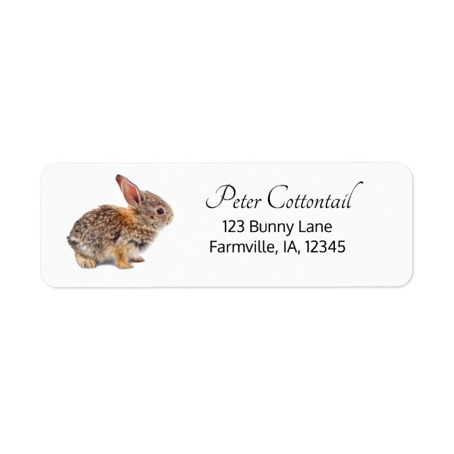 Cottontail Rabbit Return Address Label (Front)