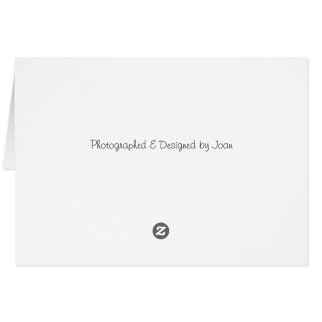 CottonWood (Back Horizontal)