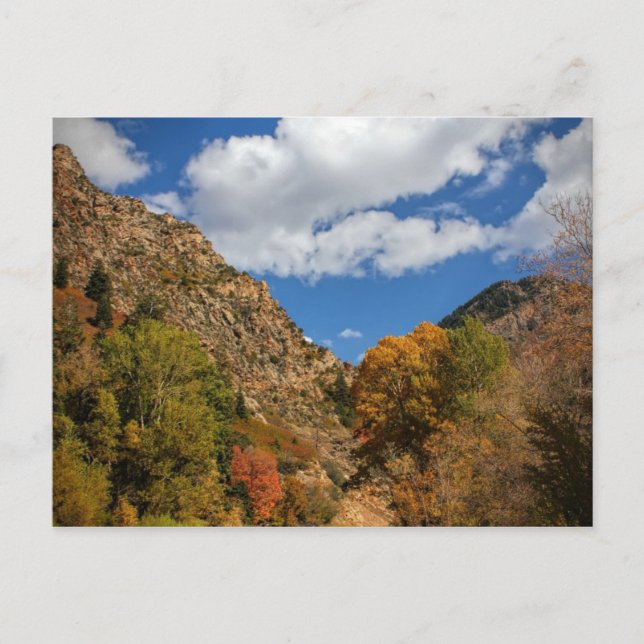 Cottonwood Canyon Scenic Byway Autumn in Utah Postcard (Front)