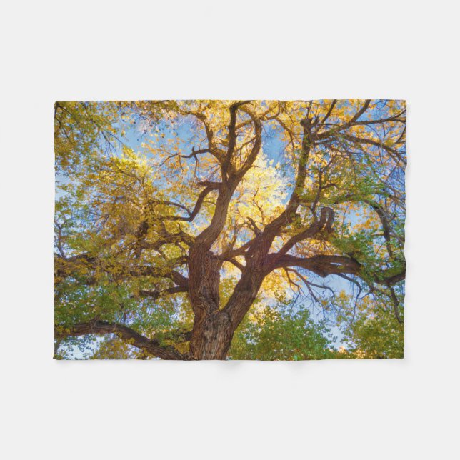 Cottonwood Tree | Capitol Reef National Park, Utah Fleece Blanket (Front (Horizontal))
