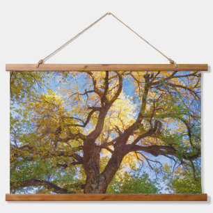 Cottonwood Tree   Capitol Reef National Park, Utah Hanging Tapestry