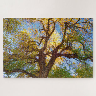 Cottonwood Tree   Capitol Reef National Park, Utah Jigsaw Puzzle