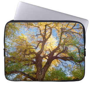 Cottonwood Tree Capitol Reef National Park, Utah Laptop Sleeve