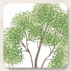 Cottonwood Tree Coaster