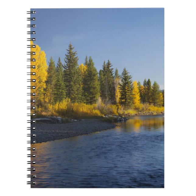 Cottonwood trees reflected in Pacific Creek Notebook (Front)