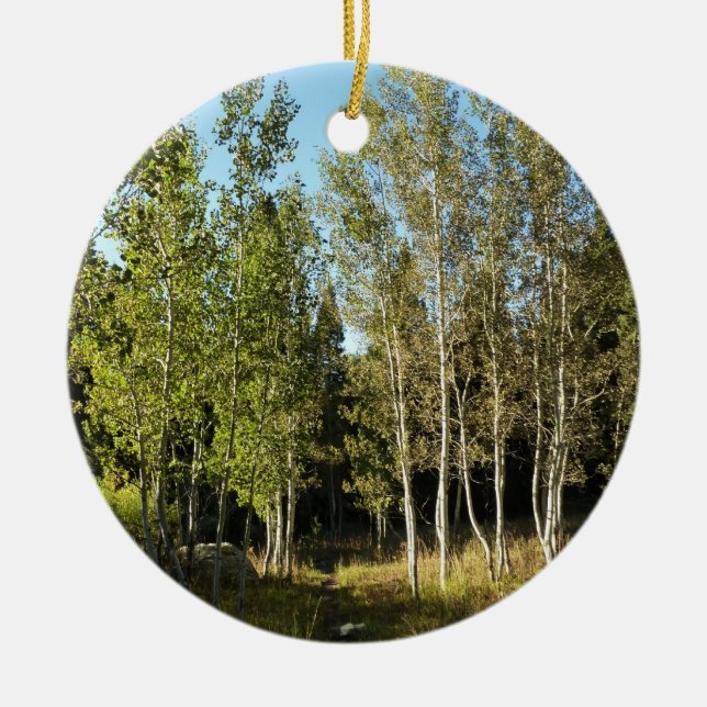 Cottonwoods Along Moose Ponds Trail at Grand Teton Ceramic Ornament (Front)