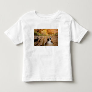 Cottonwoods in Autumn, Coyote Gulch, Glen Toddler T-Shirt