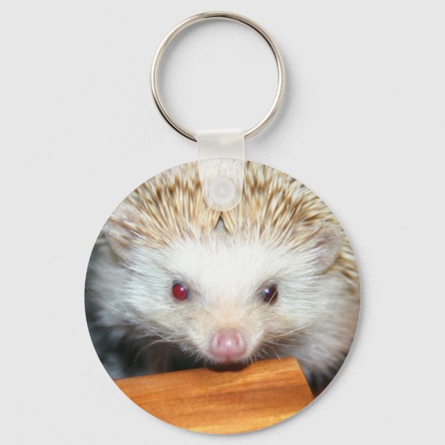 Cotty hedgehog key ring (Front)