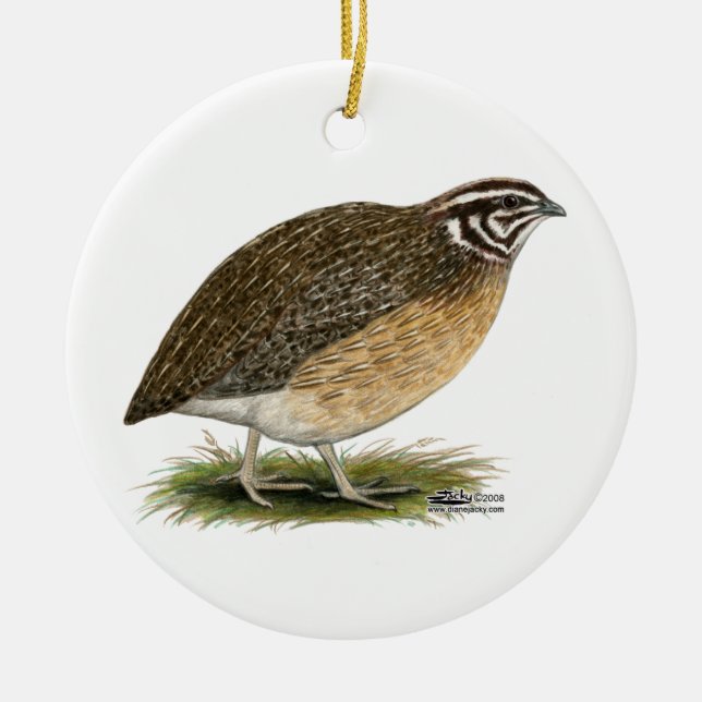 Coturnix Pharaoh Quail Ceramic Tree Decoration (Front)