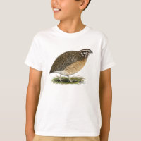 Coturnix Pharaoh Quail