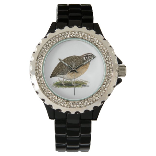 Coturnix Pharaoh Quail Watch (Front)