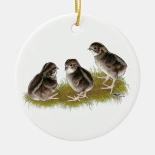 Coturnix Quail Chicks Ceramic Tree Decoration