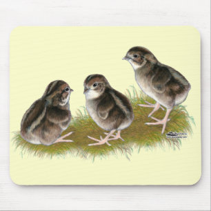 Coturnix Quail Chicks Mouse Pad