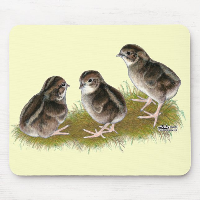 Coturnix Quail Chicks Mouse Pad (Front)