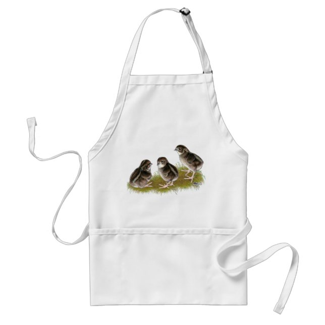 Coturnix Quail Chicks Standard Apron (Front)