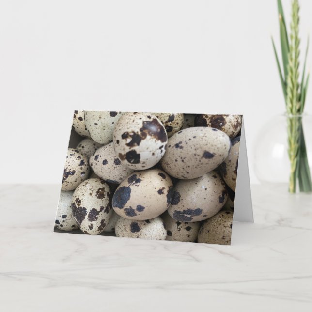 Coturnix Quail Egg Card (Front)