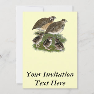 Coturnix Quail Family Invitation