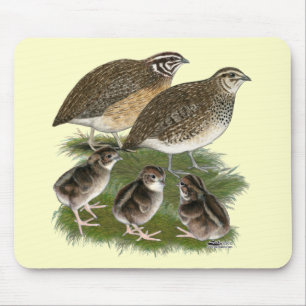 Coturnix Quail Family Mouse Pad