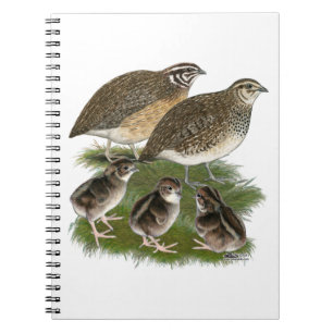 Coturnix Quail Family Notebook