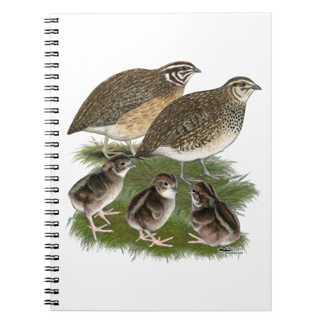 Coturnix Quail Family Notebook (Front)