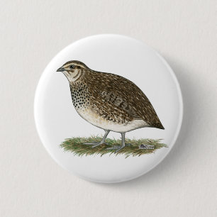 Coturnix Quail Hen 6 Cm Round Badge