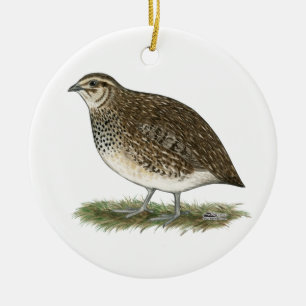 Coturnix Quail Hen Ceramic Ornament