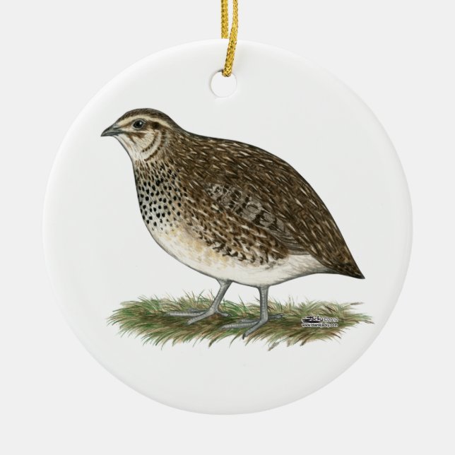 Coturnix Quail Hen Ceramic Ornament (Front)