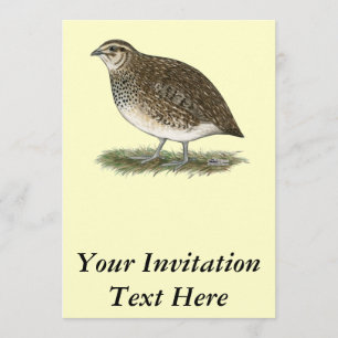 Coturnix Quail Hen Invitation