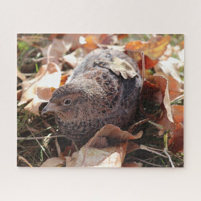 Coturnix Quail in the leaves Jigsaw Puzzle (Horizontal)