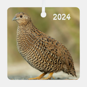 Coturnix Quail Metal Tree Decoration