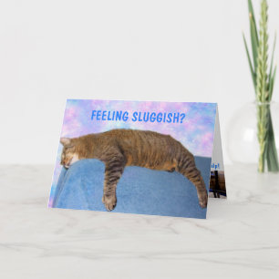 Couch Potato Sluggish Cat Get Well Card