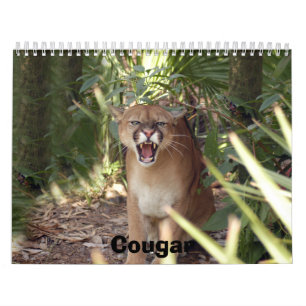Cougar 001, Cougar Calendar