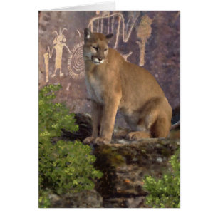 Cougar and Pictographs