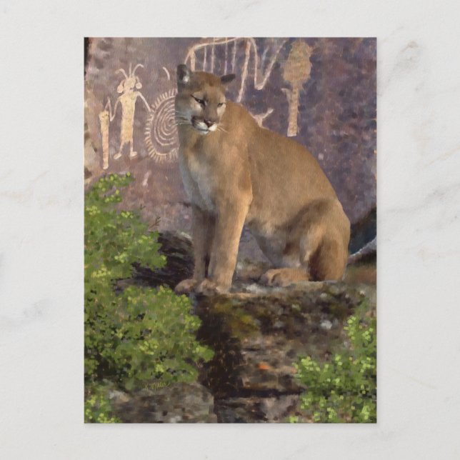 Cougar and Pictographs Postcard (Front)