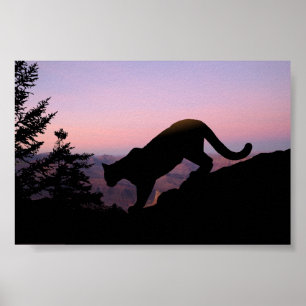 Cougar and the Grand Canyon Poster