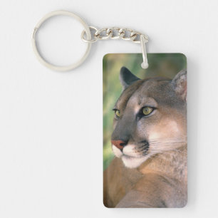 Cougar, California Key Ring